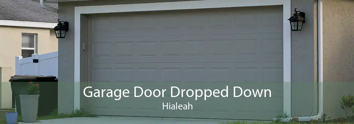 Garage Door Dropped Down Hialeah