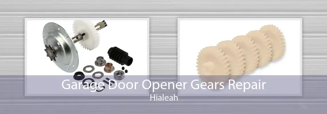 Garage Door Opener Gears Repair Hialeah