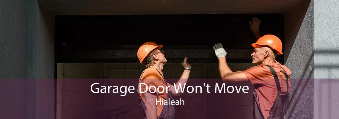 Garage Door Won't Move Hialeah